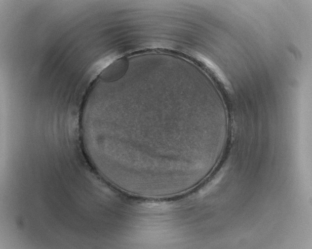 X0000116590977201001071230