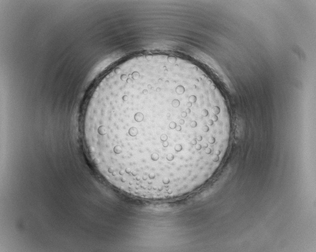 X0000116590978201001071230