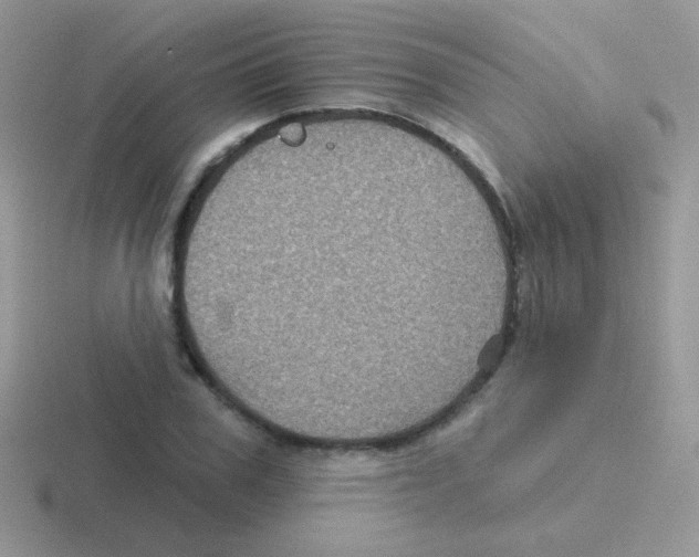 X0000116590979201001071230