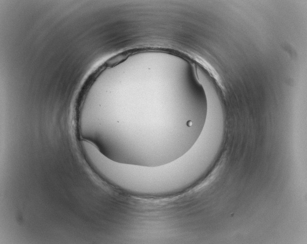 X0000116590981201001071230