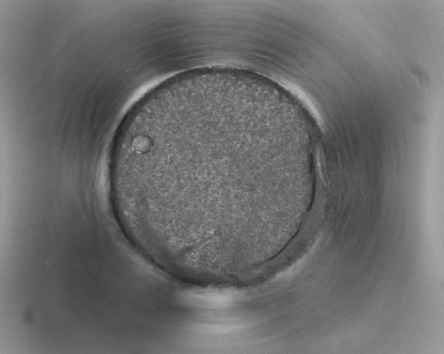 X0000116590983201001071230