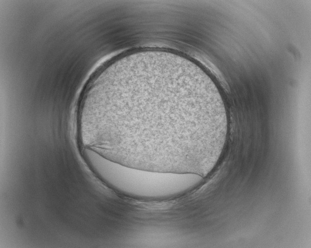 X0000116590984201001071230