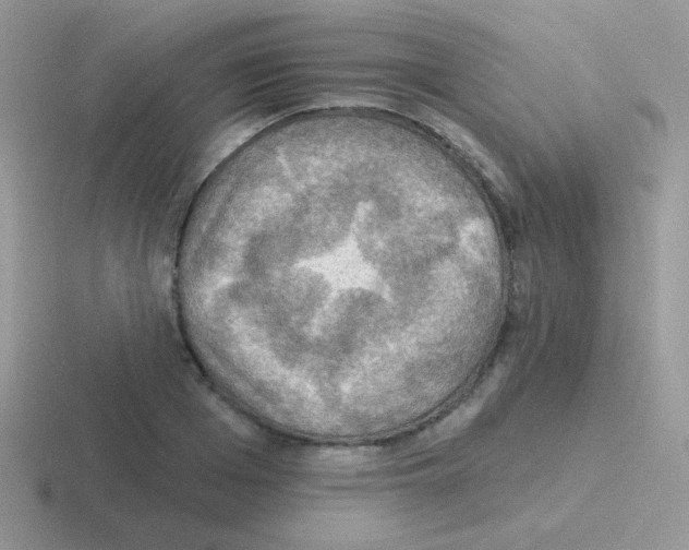 X0000116590985201001071230