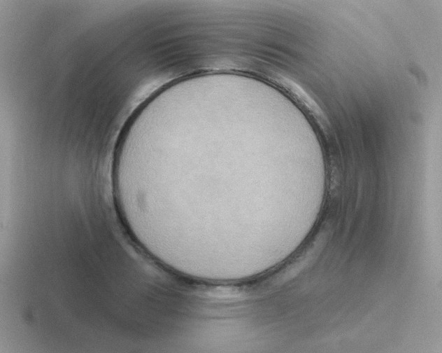 X0000116590986201001071230