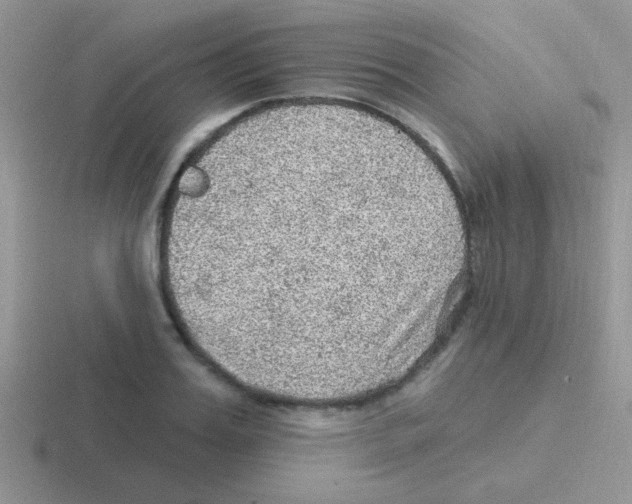 X0000116590987201001071230