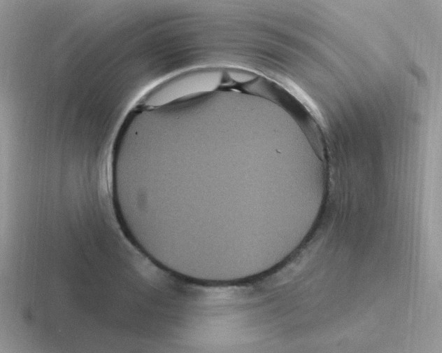 X0000116590988201001071230