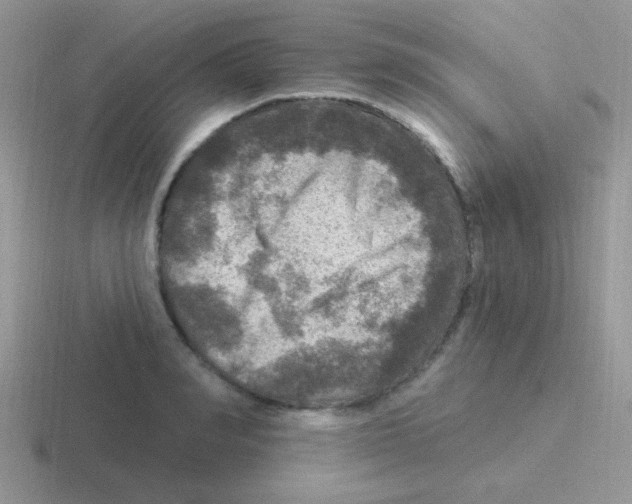 X0000116590990201001071230