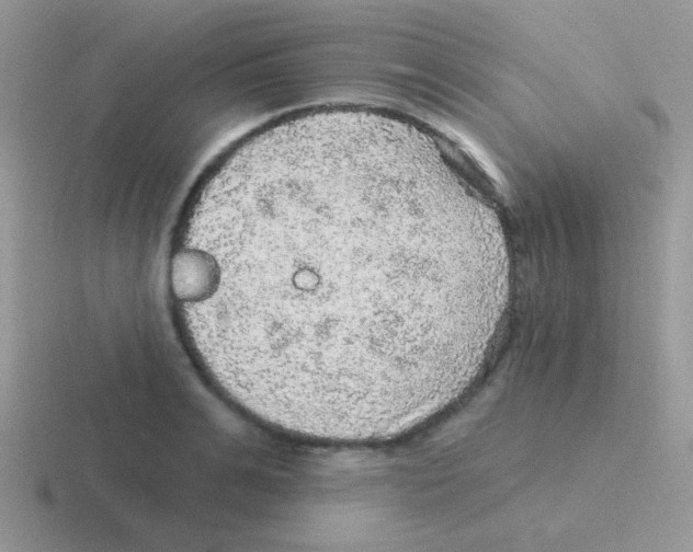 X0000116590991201001071230