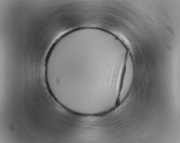 X0000116590992201001071230