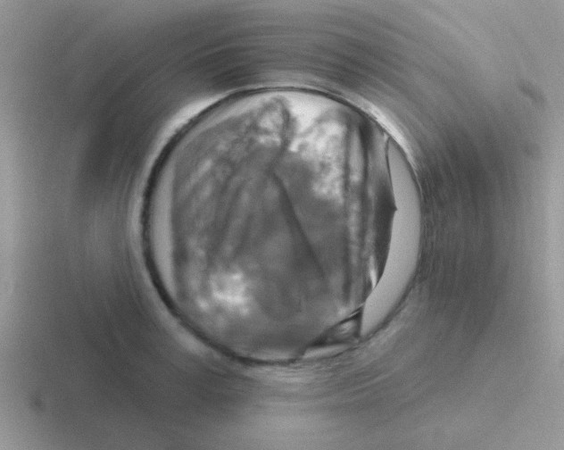 X0000116590995201001071230