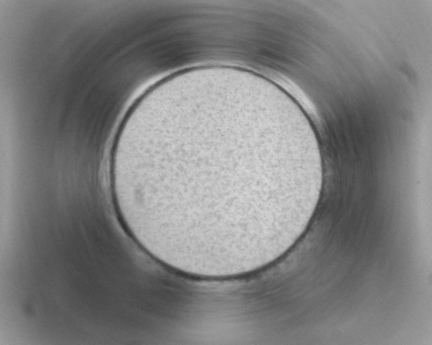 X0000116590996201001071230