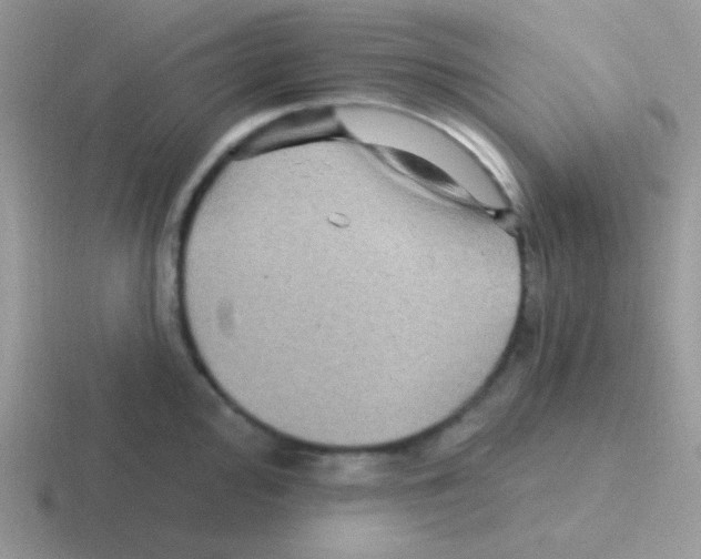 X0000116591000201001071230