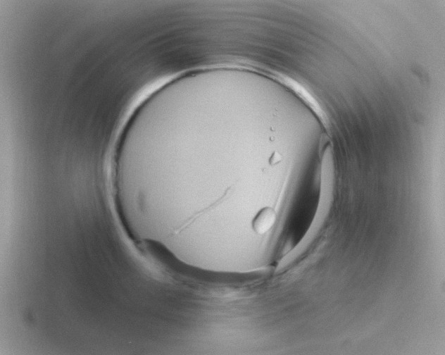 X0000116591003201001071230