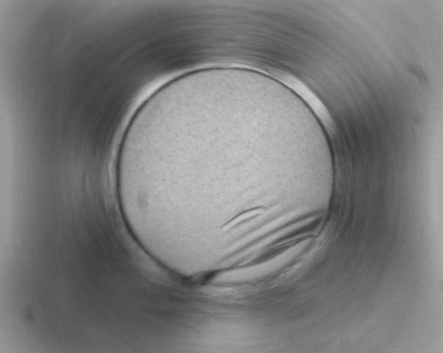 X0000116591004201001071230