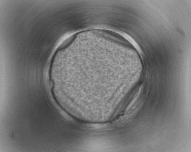 X0000116591005201001071230