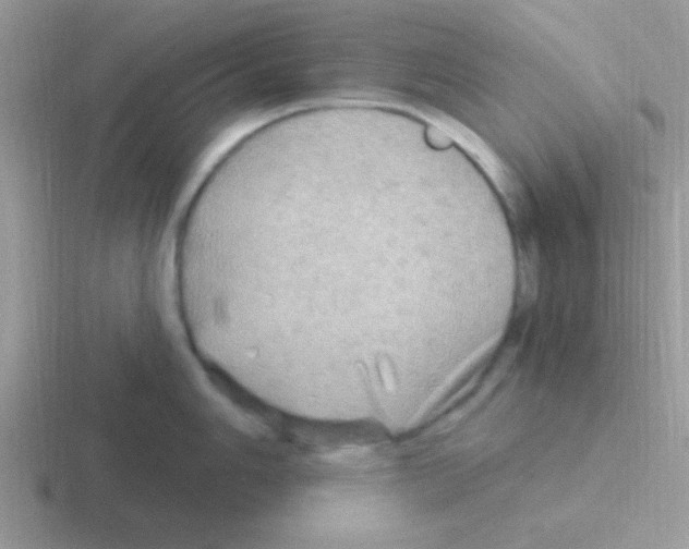 X0000116591006201001071230