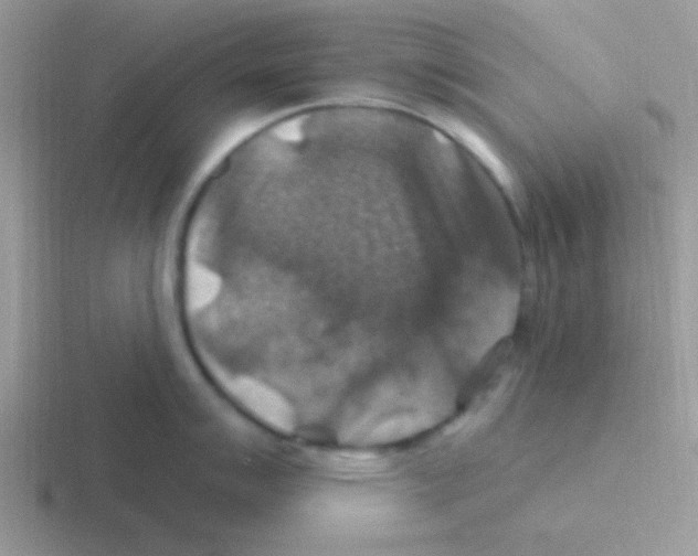 X0000116591007201001071230