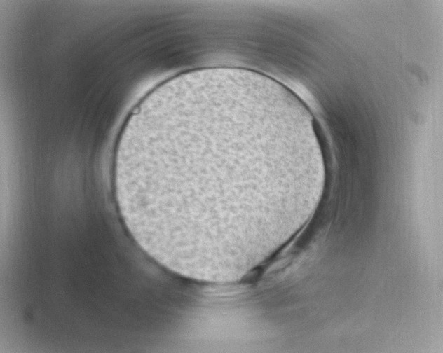 X0000116591008201001071230