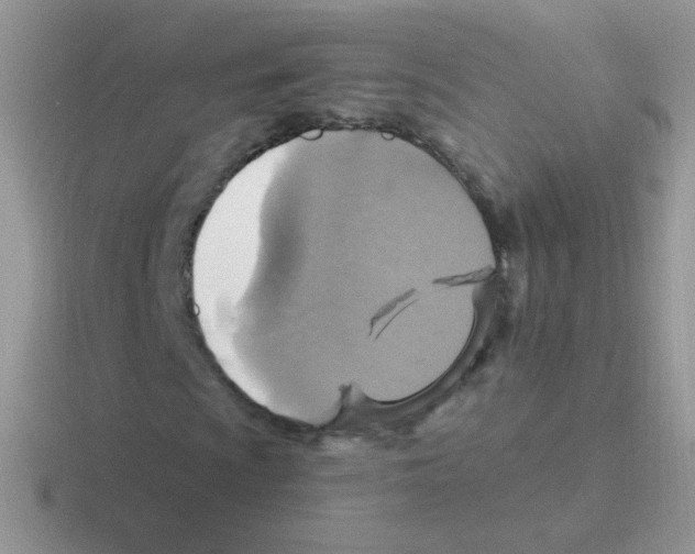 X0000116591009201001071229