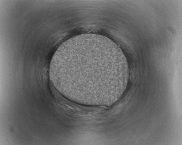 X0000116591010201001071229