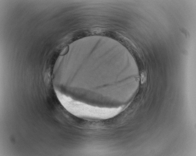 X0000116591011201001071229