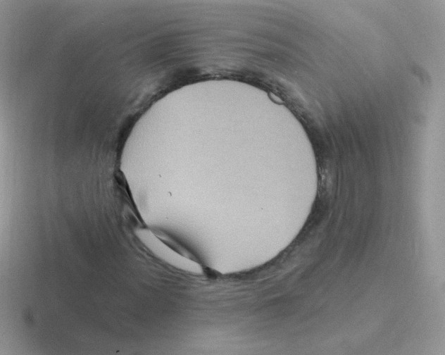 X0000116591012201001071229