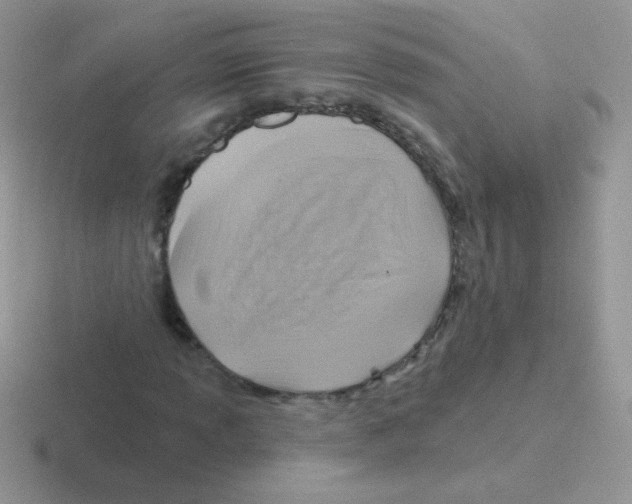 X0000116591013201001071229