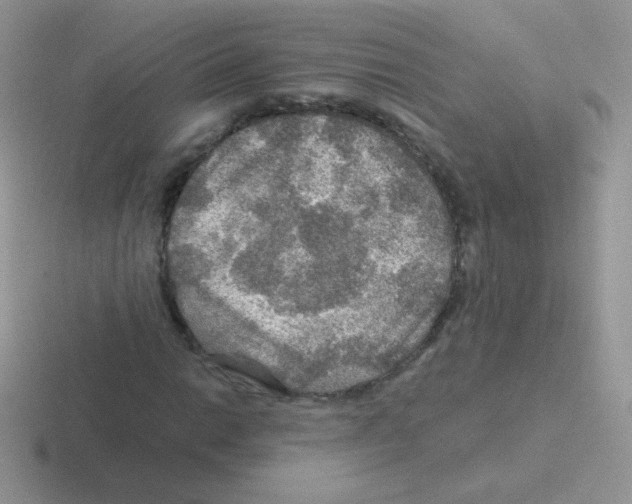 X0000116591014201001071229