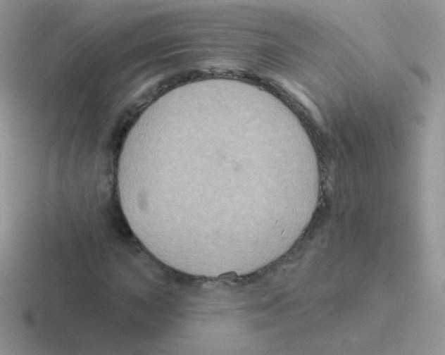 X0000116591015201001071230