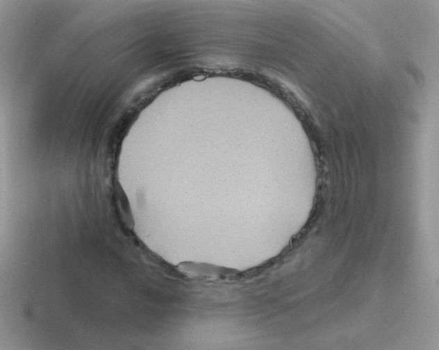 X0000116591016201001071230