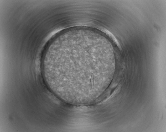 X0000116591019201001071230