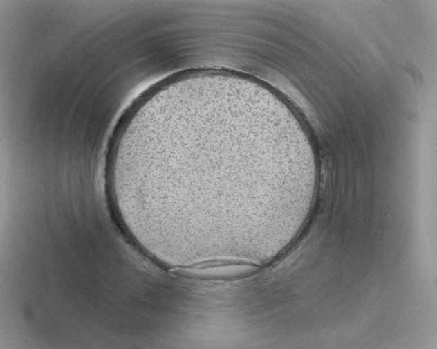 X0000116591020201001071230