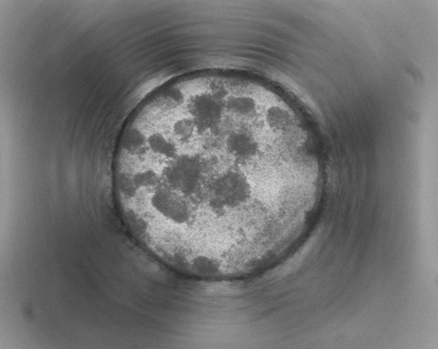 X0000116591025201001071230