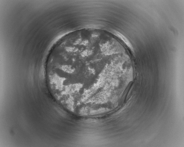 X0000116591027201001071230