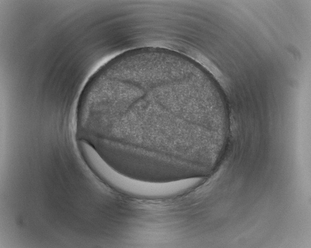 X0000116591028201001071230