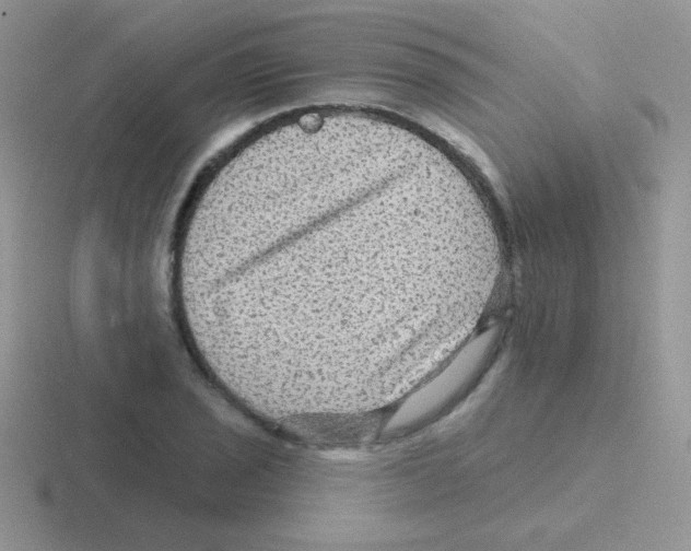 X0000116591029201001071230