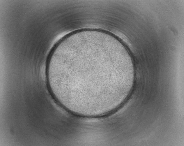 X0000116591030201001071230