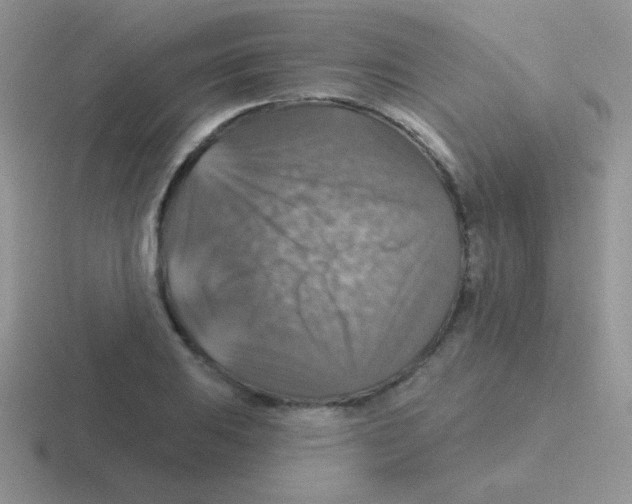 X0000116591031201001071230