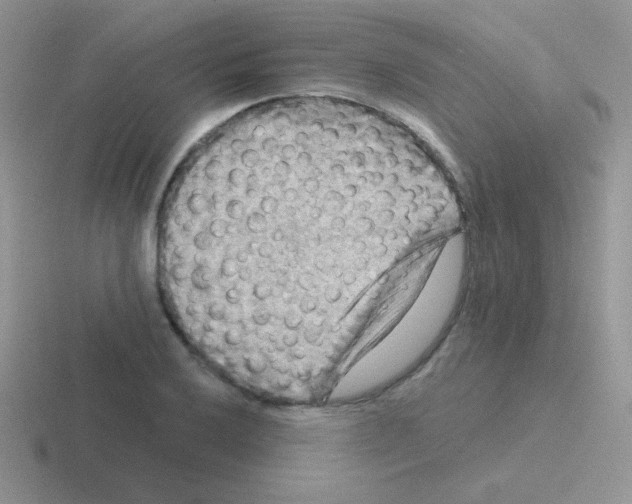 X0000116591032201001071230