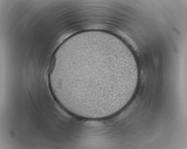 X0000116591033201001071230