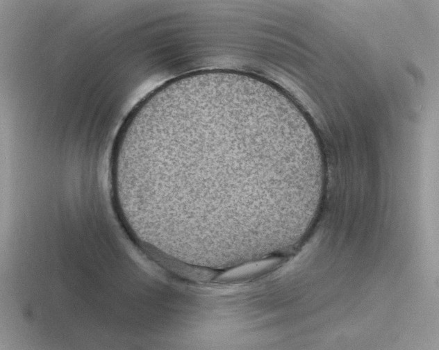 X0000116591034201001071230