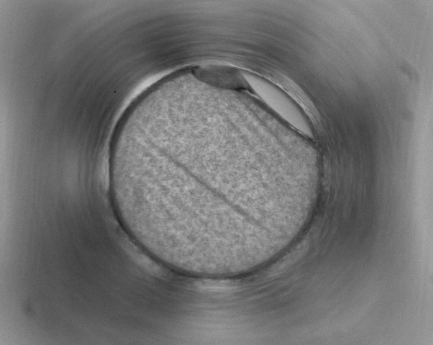 X0000116591036201001071230