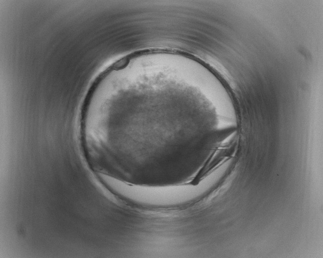 X0000116591037201001071230