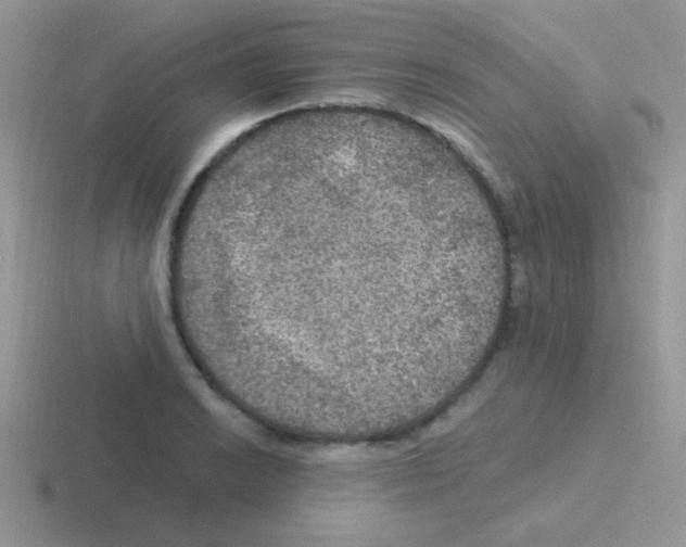 X0000116591038201001071230