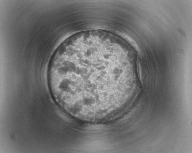 X0000116591039201001071230