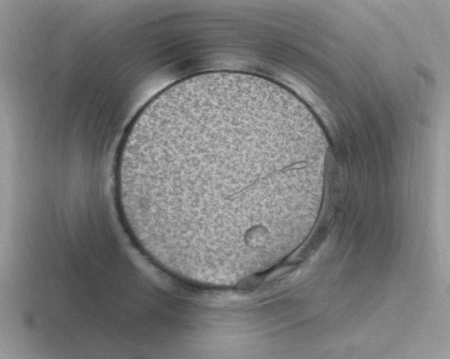 X0000116591042201001071230