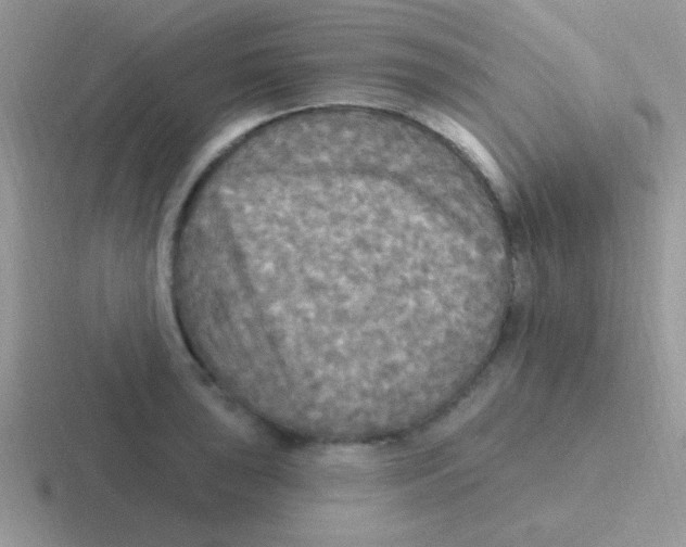 X0000116591043201001071230