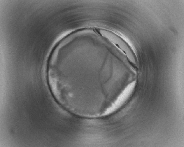 X0000116591045201001071230