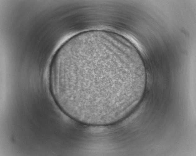 X0000116591046201001071230