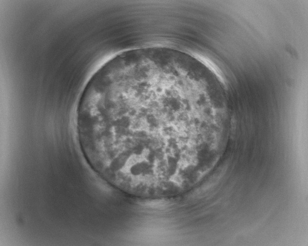 X0000116591047201001071230